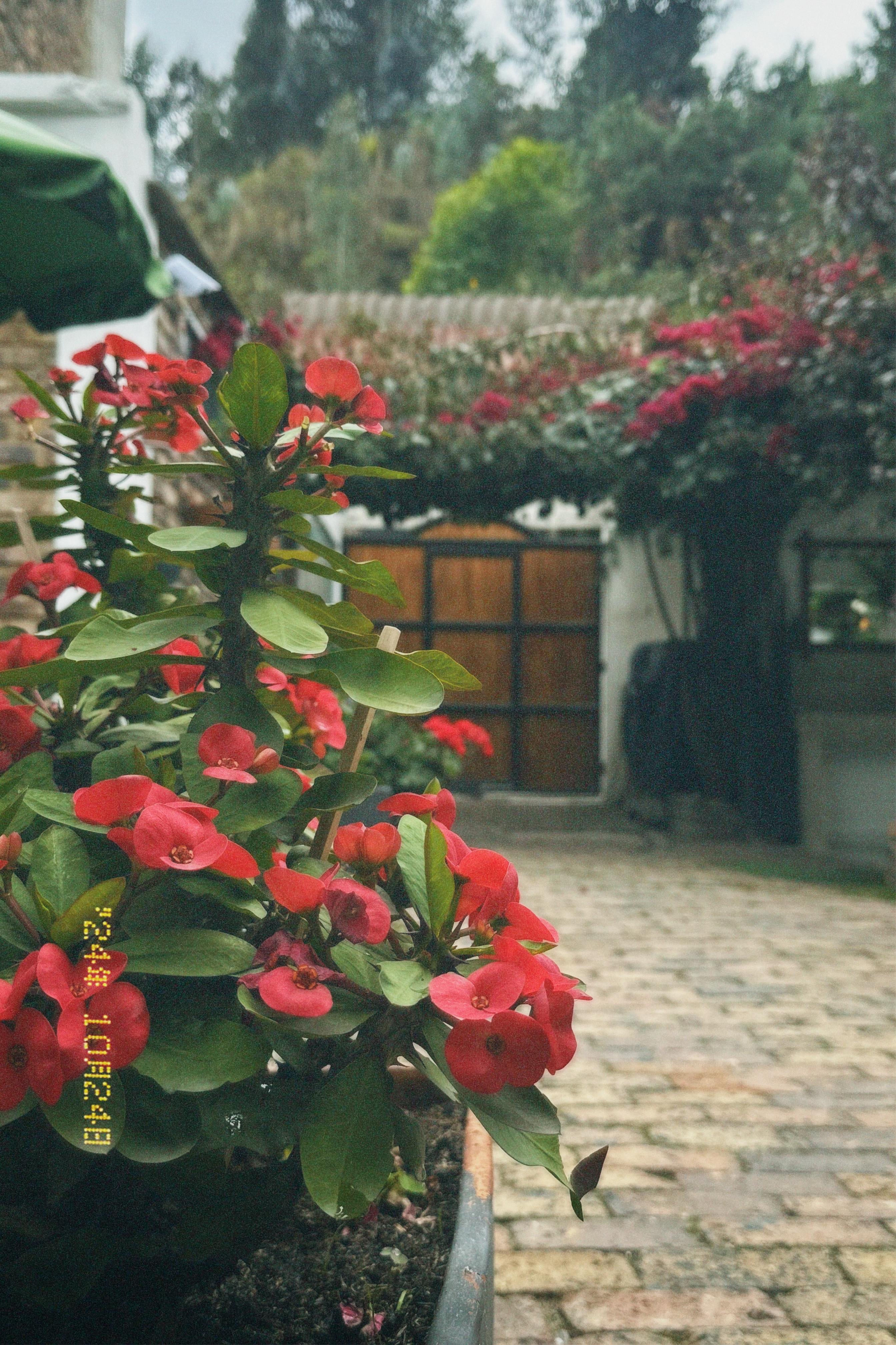 Entrada del restaurante